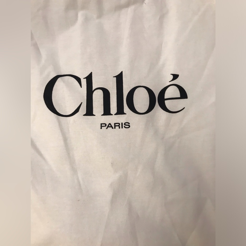 Chloe horse medal raffia straw basket bag - Picture 16 of 16